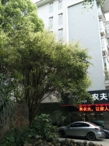 山水方圓