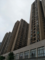 龍鳳首緣